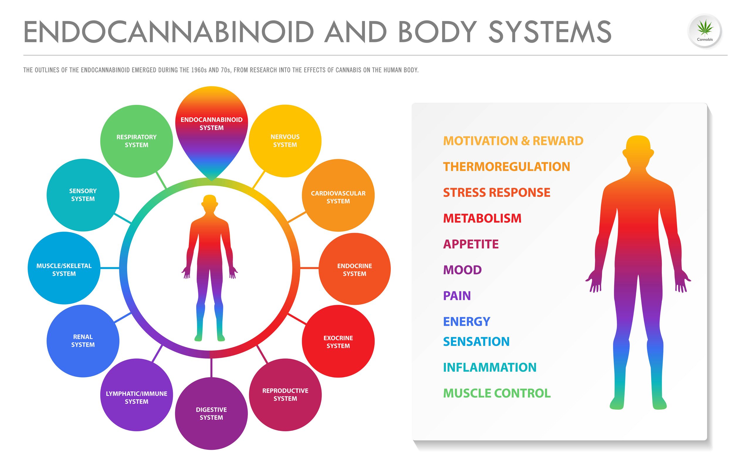 //medcansupport.co.uk/wp-content/uploads/2020/04/130381101_l-scaled.jpg