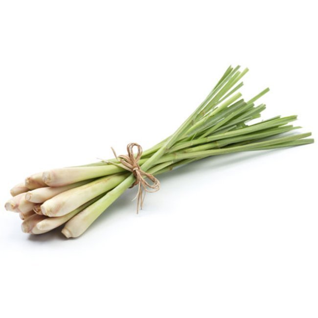 //medcansupport.co.uk/wp-content/uploads/2020/04/Lemongrass.jpg